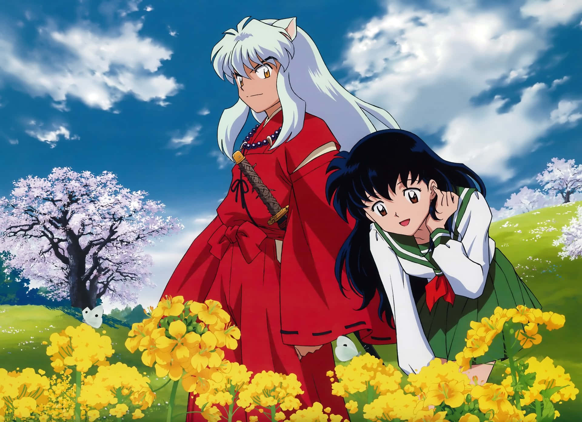 Inuyasha on his quest
