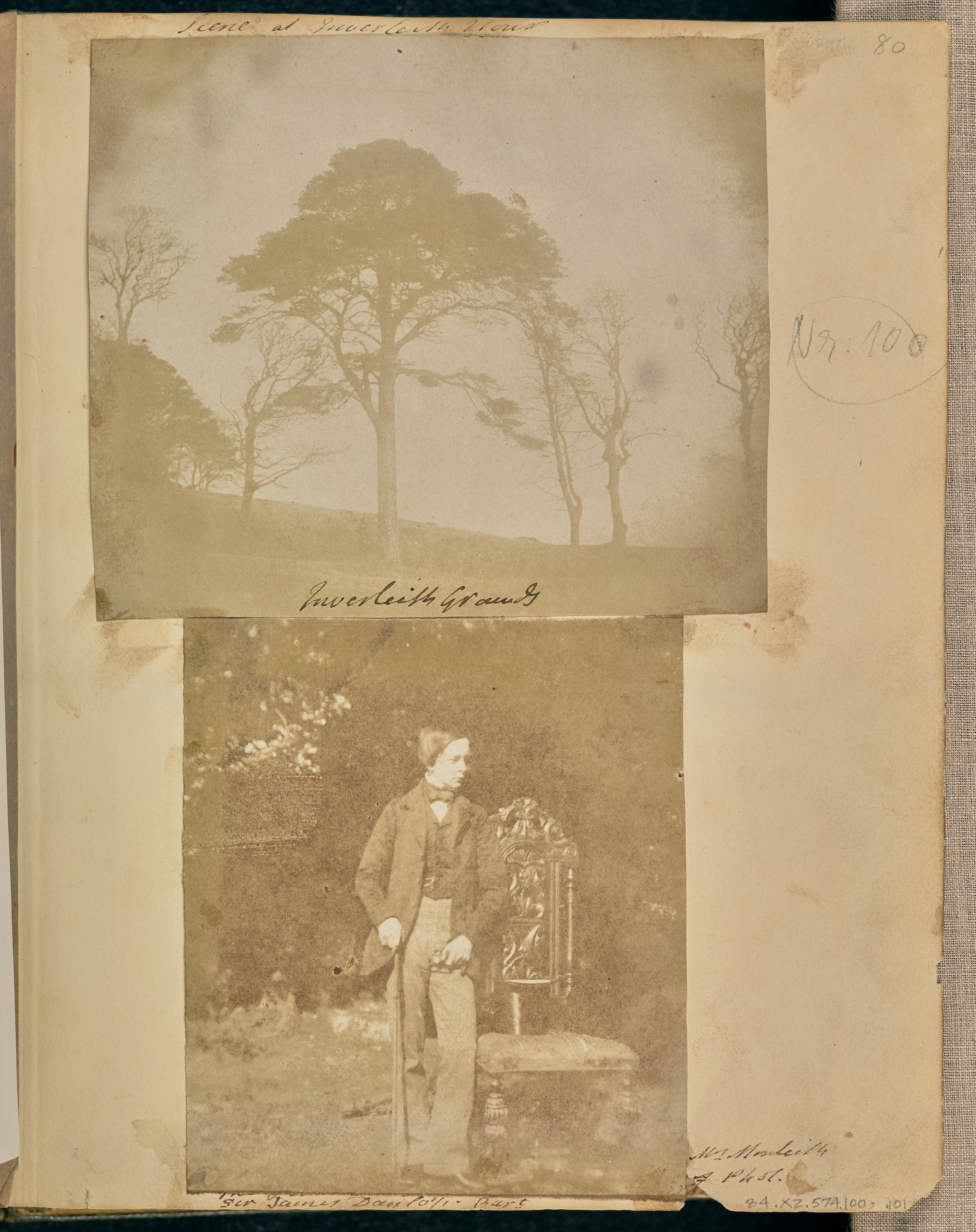 Inverleith Grounds Wallpaper
