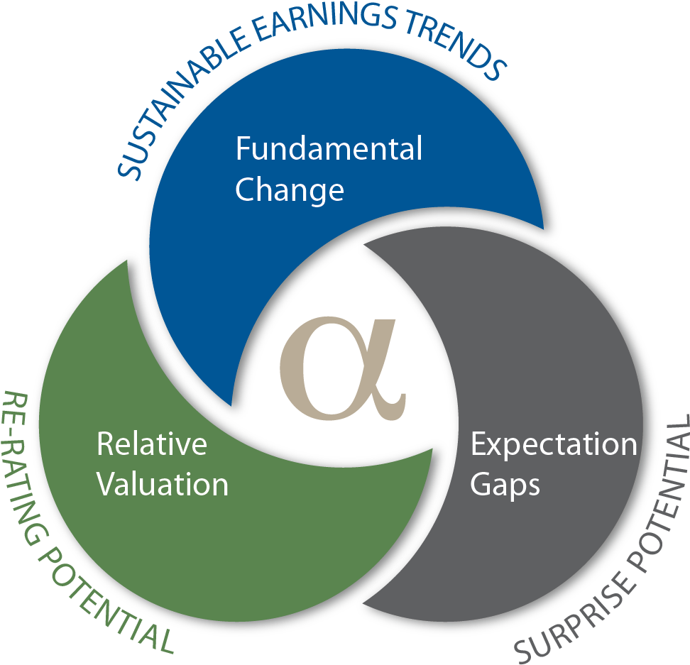 Investment Strategy Components Venn Diagram PNG