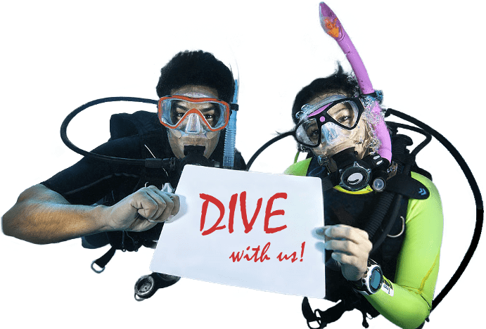 Invitationto Dive Snorkelers.png PNG