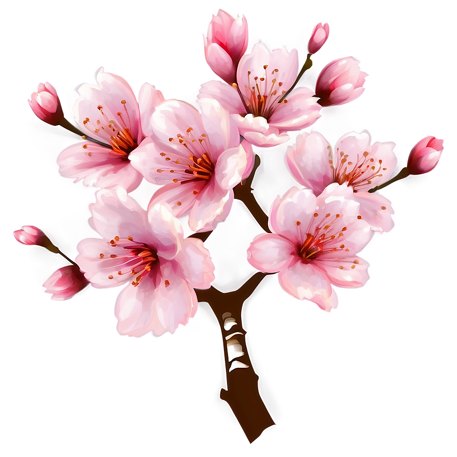 Inviting Cherry Blossom Png Ebu36 PNG