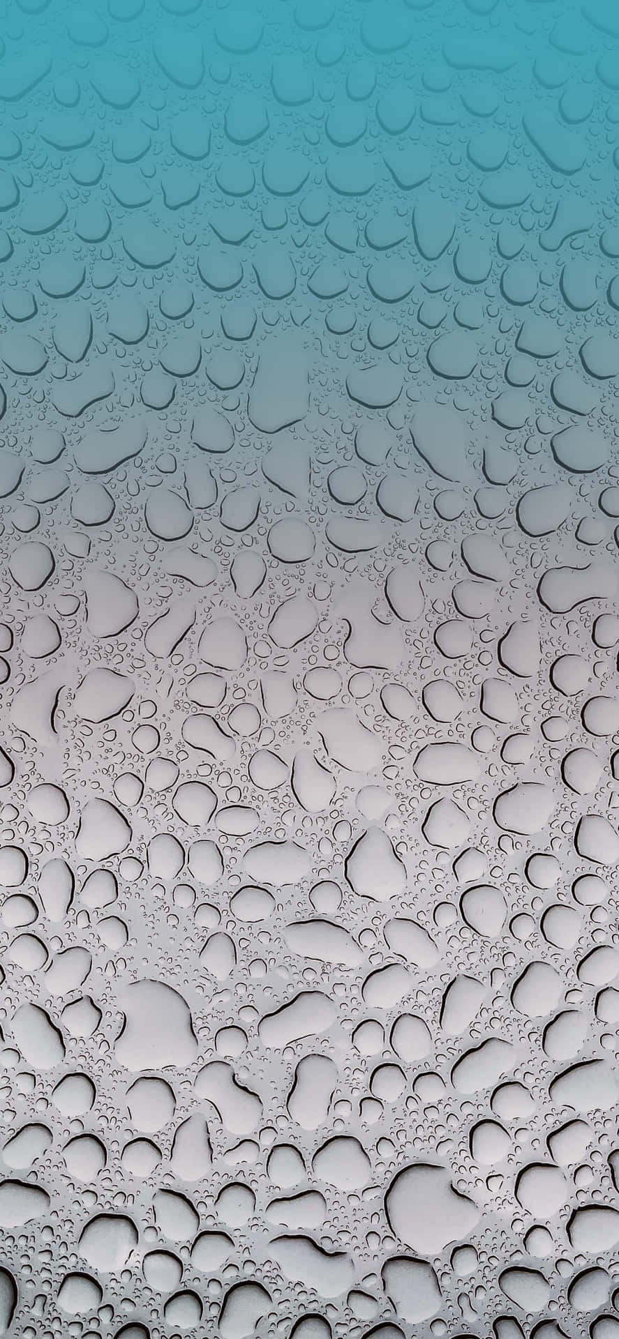 Water Droplets On A Glass Surface Wallpaper