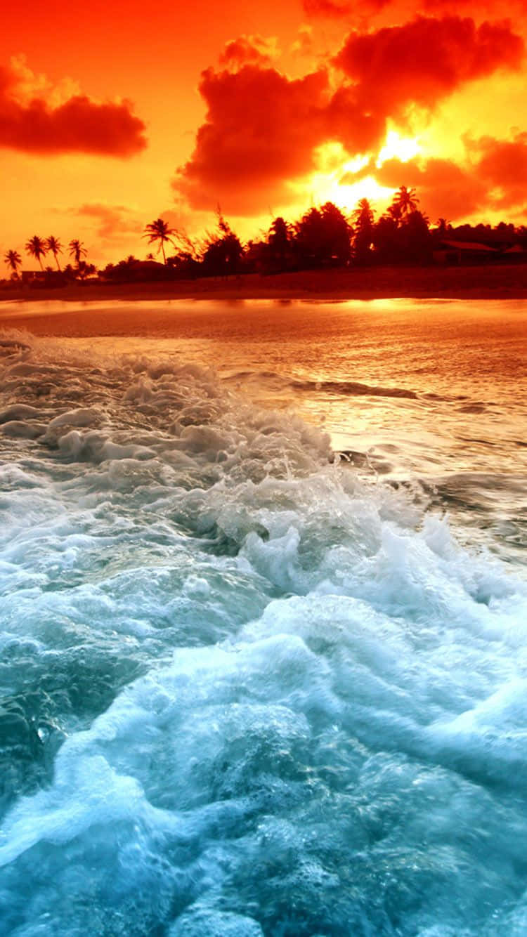 Beach Sea Sunset City Lights Red Sky IPhone 8 7 6 6S Pink Beach  Sunset HD phone wallpaper  Pxfuel