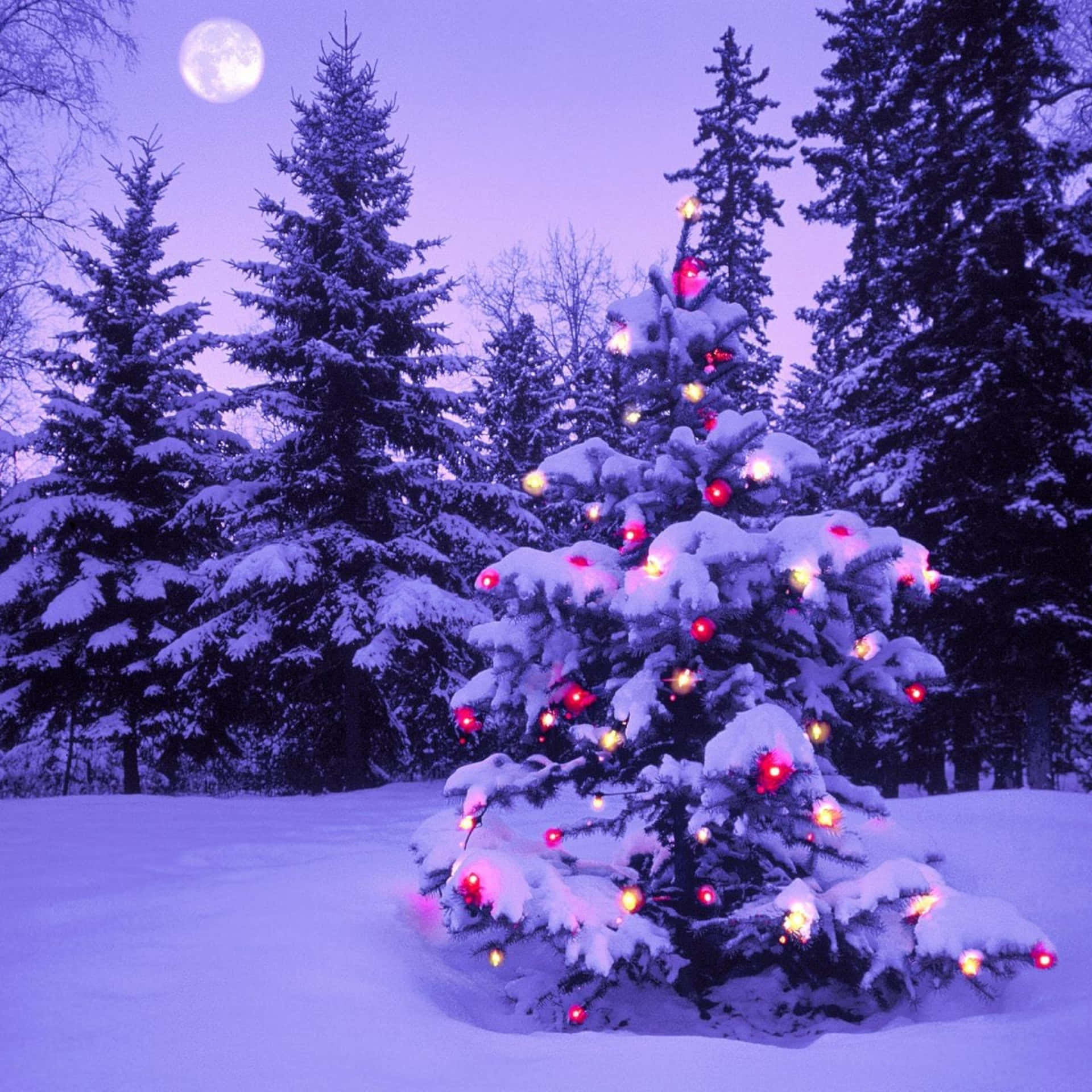 En julestræ i sneen med en fuldmåne Wallpaper