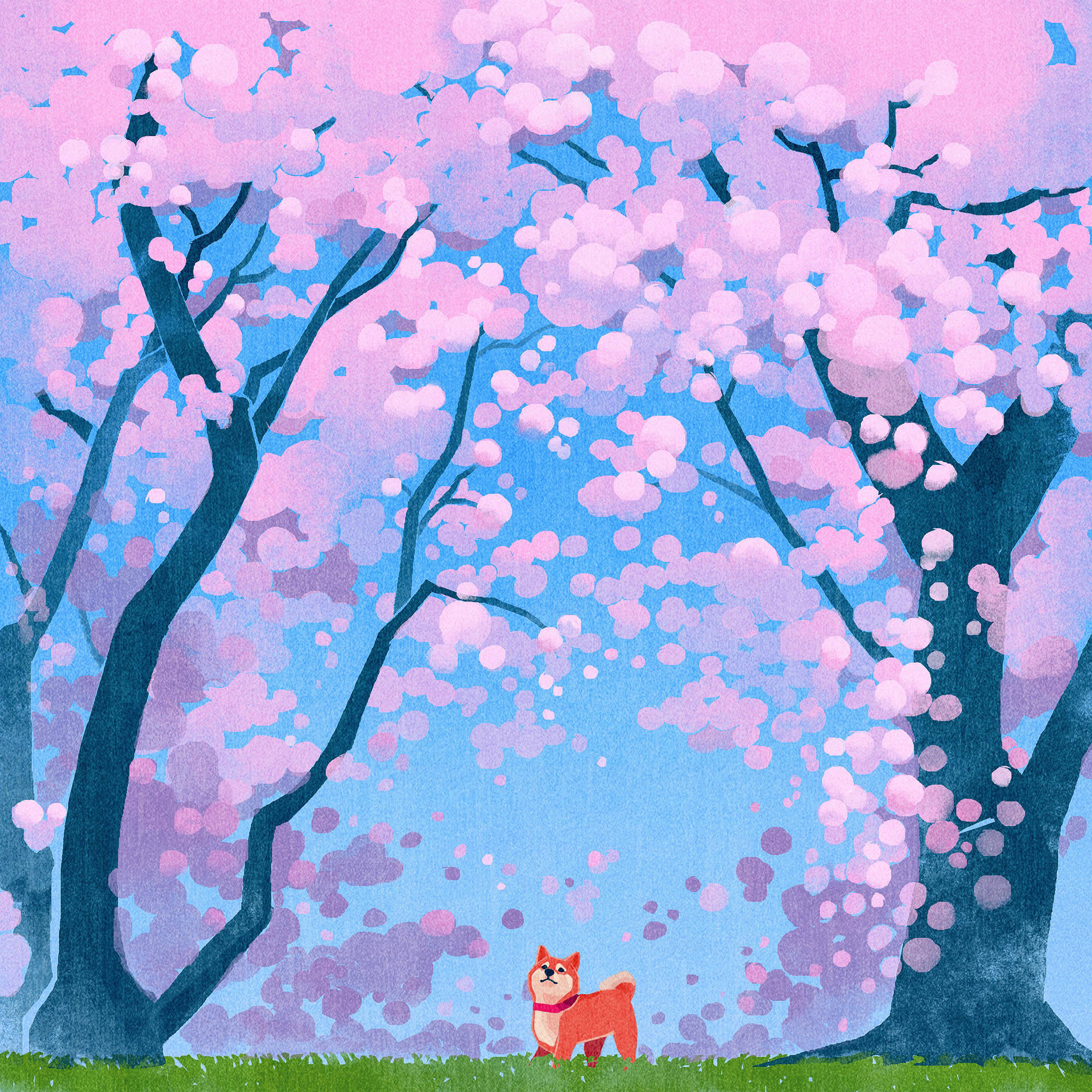 Ipad Pro Cute Dog In Cherry Blossoms Wallpaper