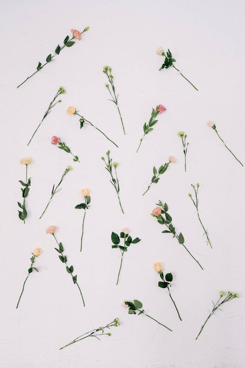 Ipad Pro Cute Thin Flowers Wallpaper