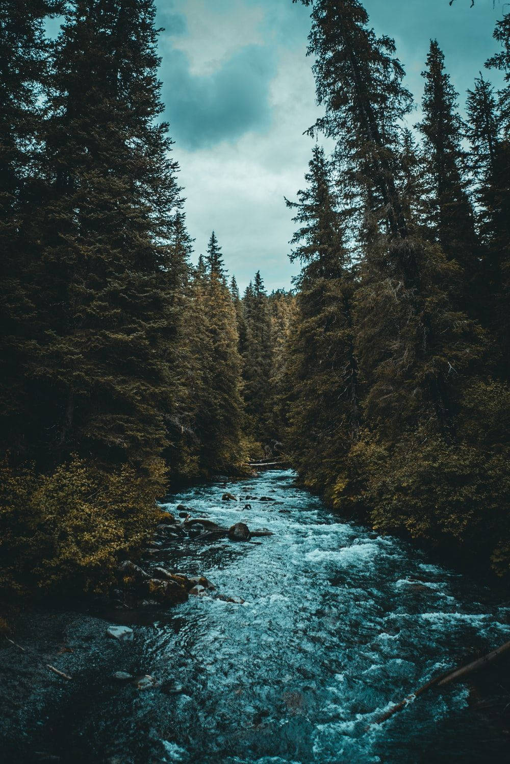 Ipad Pro River Surroinded By Trees Wallpaper