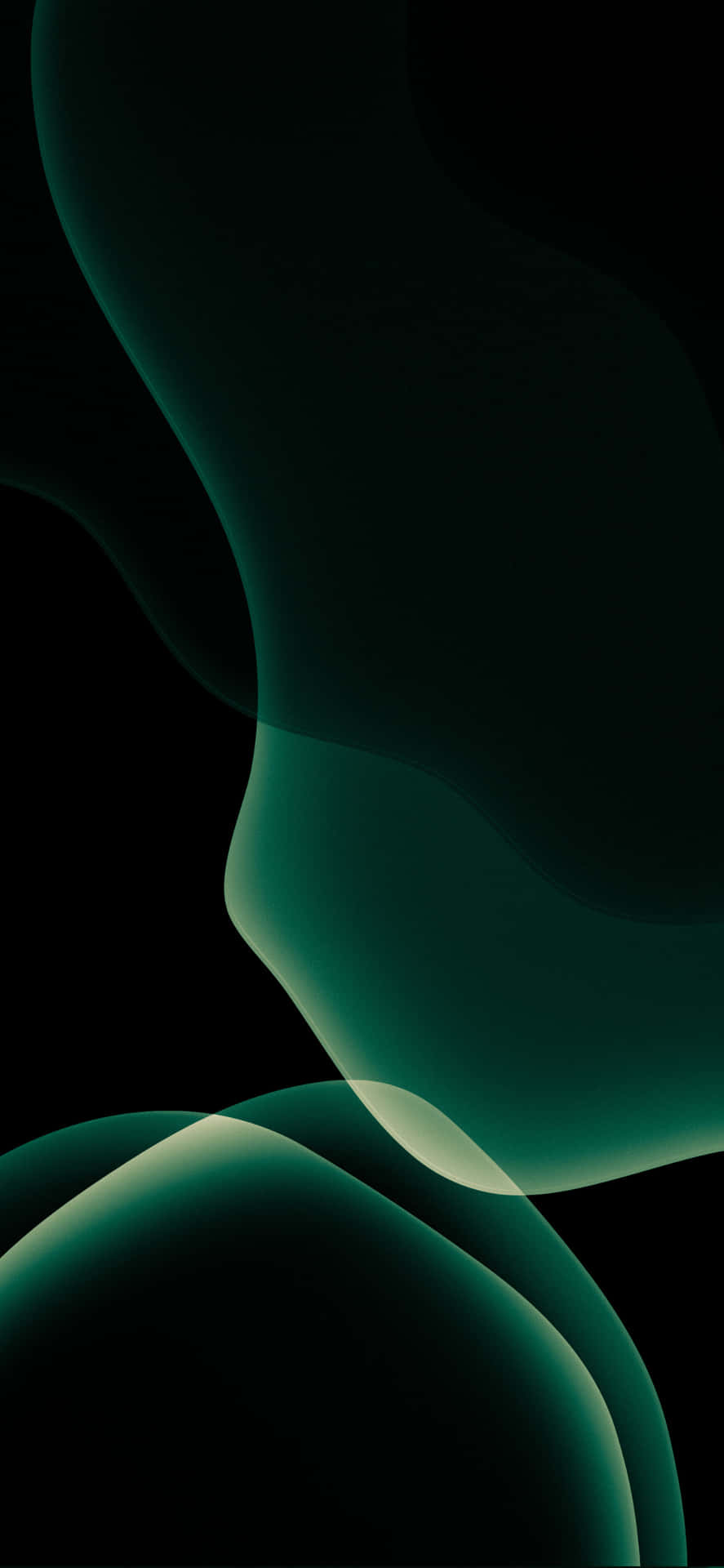 Skiller sig ud med iPhone 11 i grøn Wallpaper