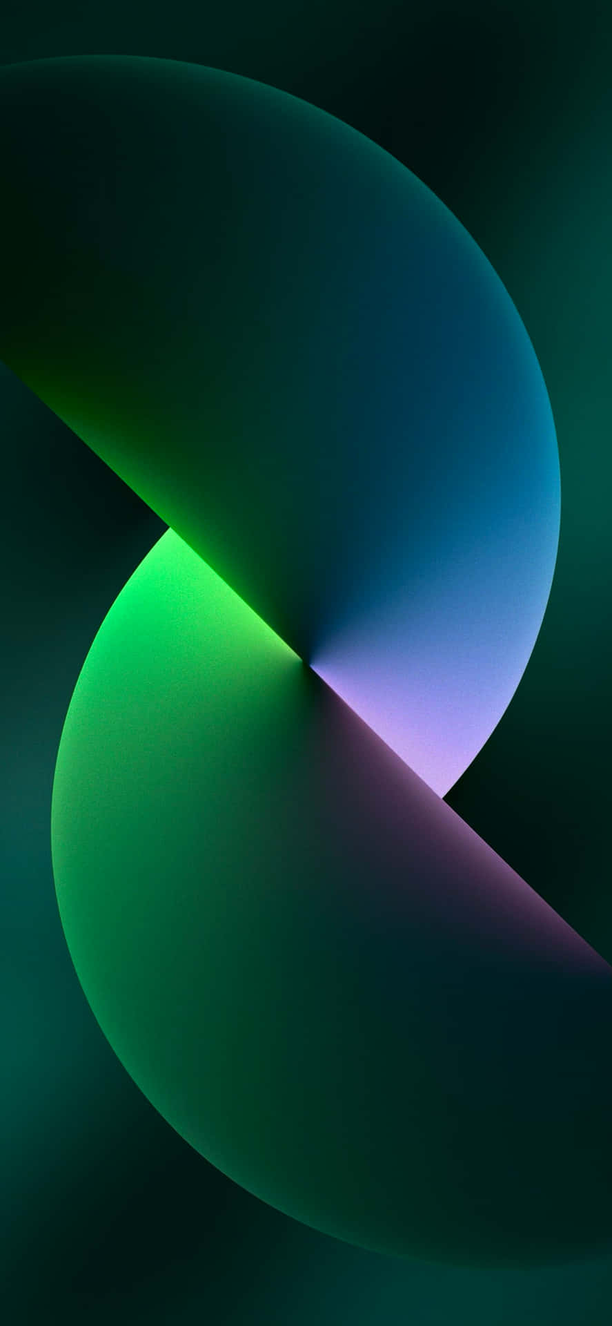 Get ready for summer with the stunning green Iphone 11 Wallpaper