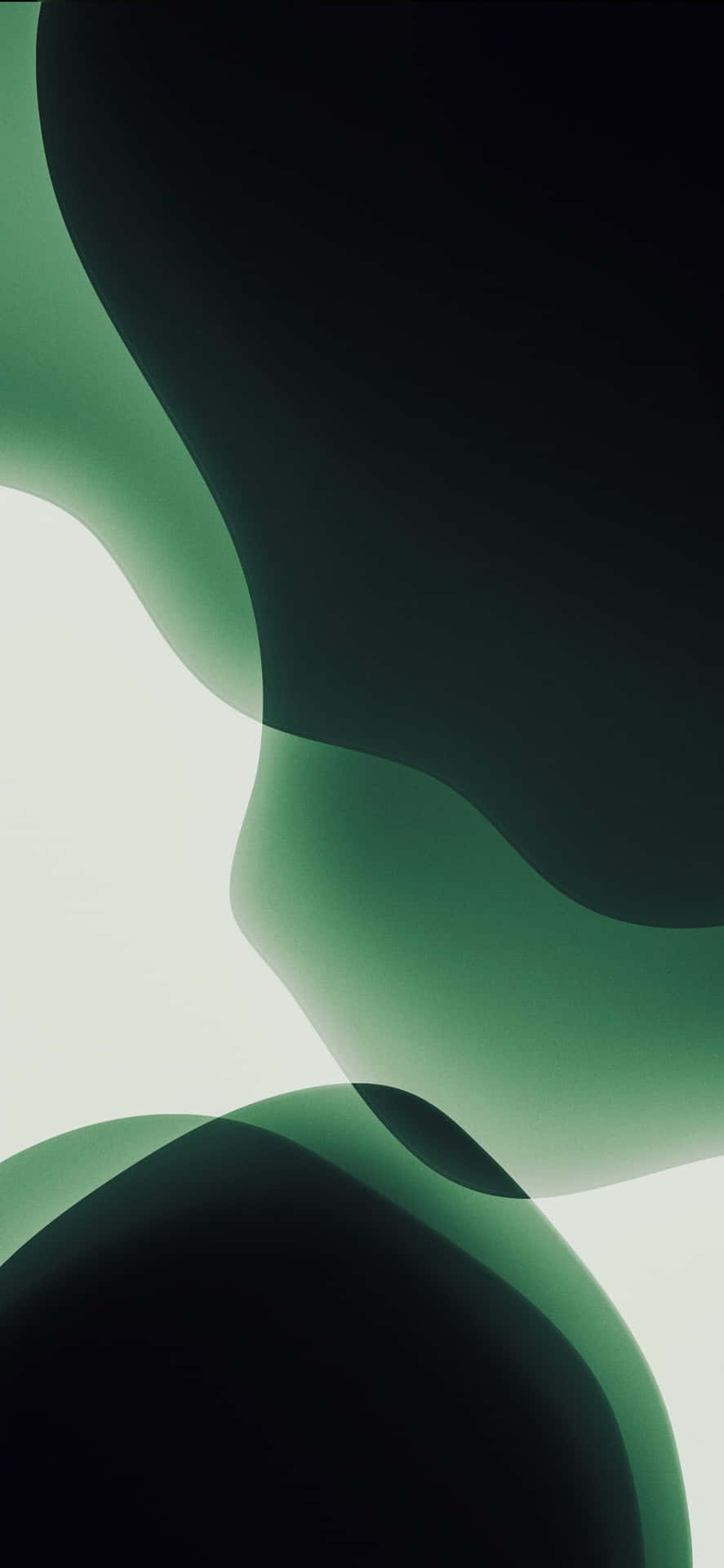 Dennyaste Och Mest Färgglada Tillägget Till Iphone 11-serien - Iphone 11 Grön Wallpaper