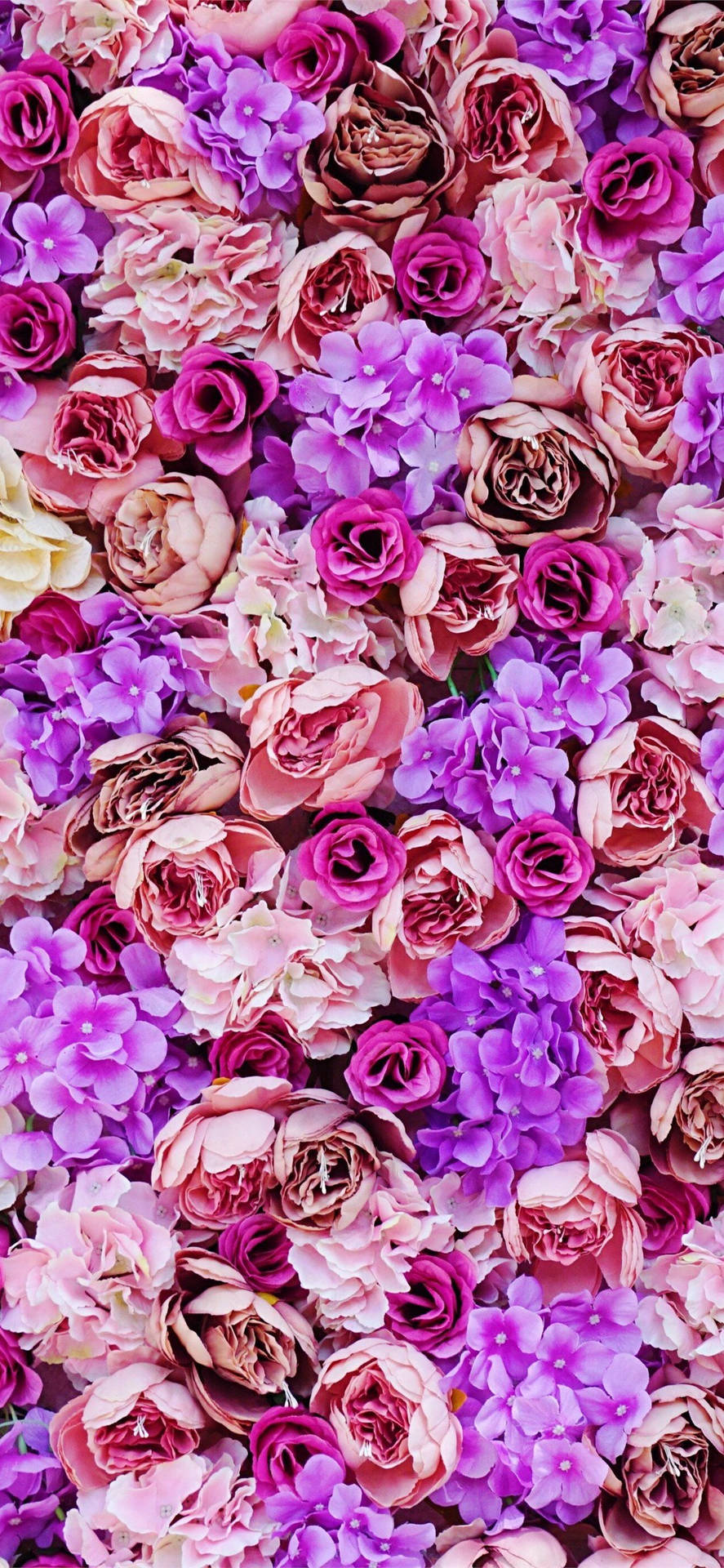 iPhone 11 lilla blomsterdesign Wallpaper