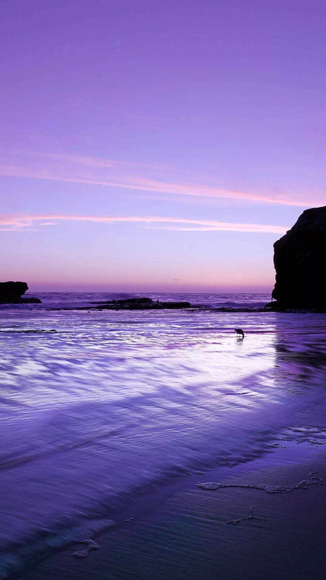 Iphone 11 Purple Beach HD Wallpaper