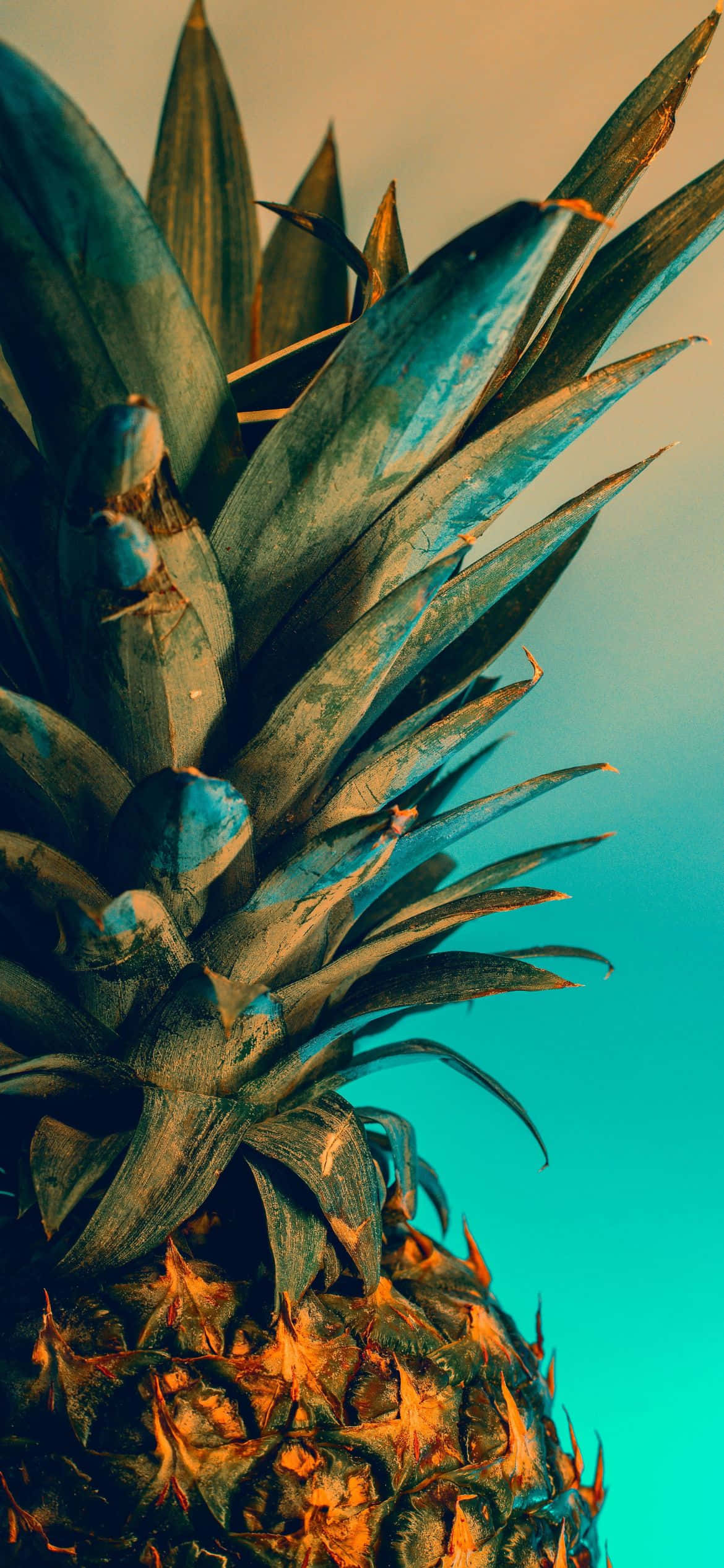 A Pineapple With A Blue Sky Background