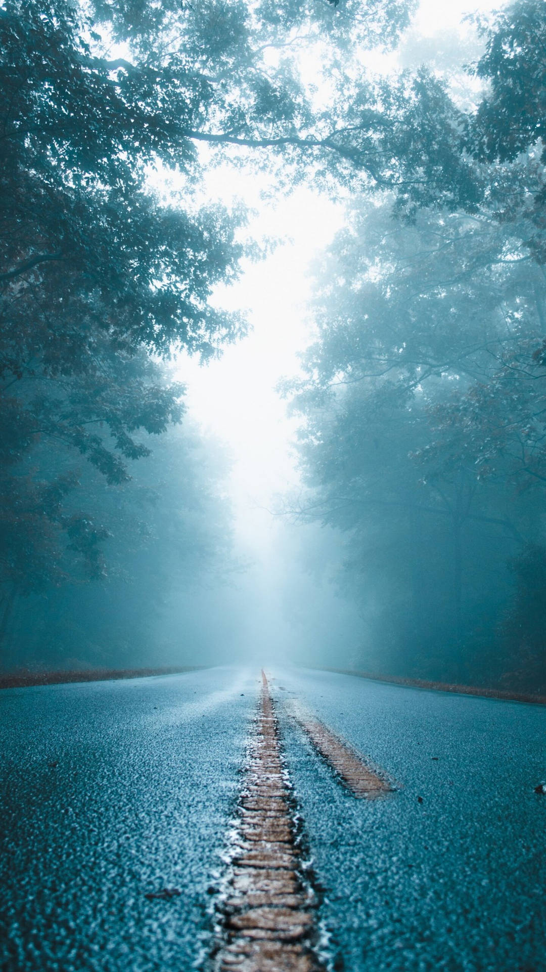 Iphone 12 Pro Max Misty Road Background
