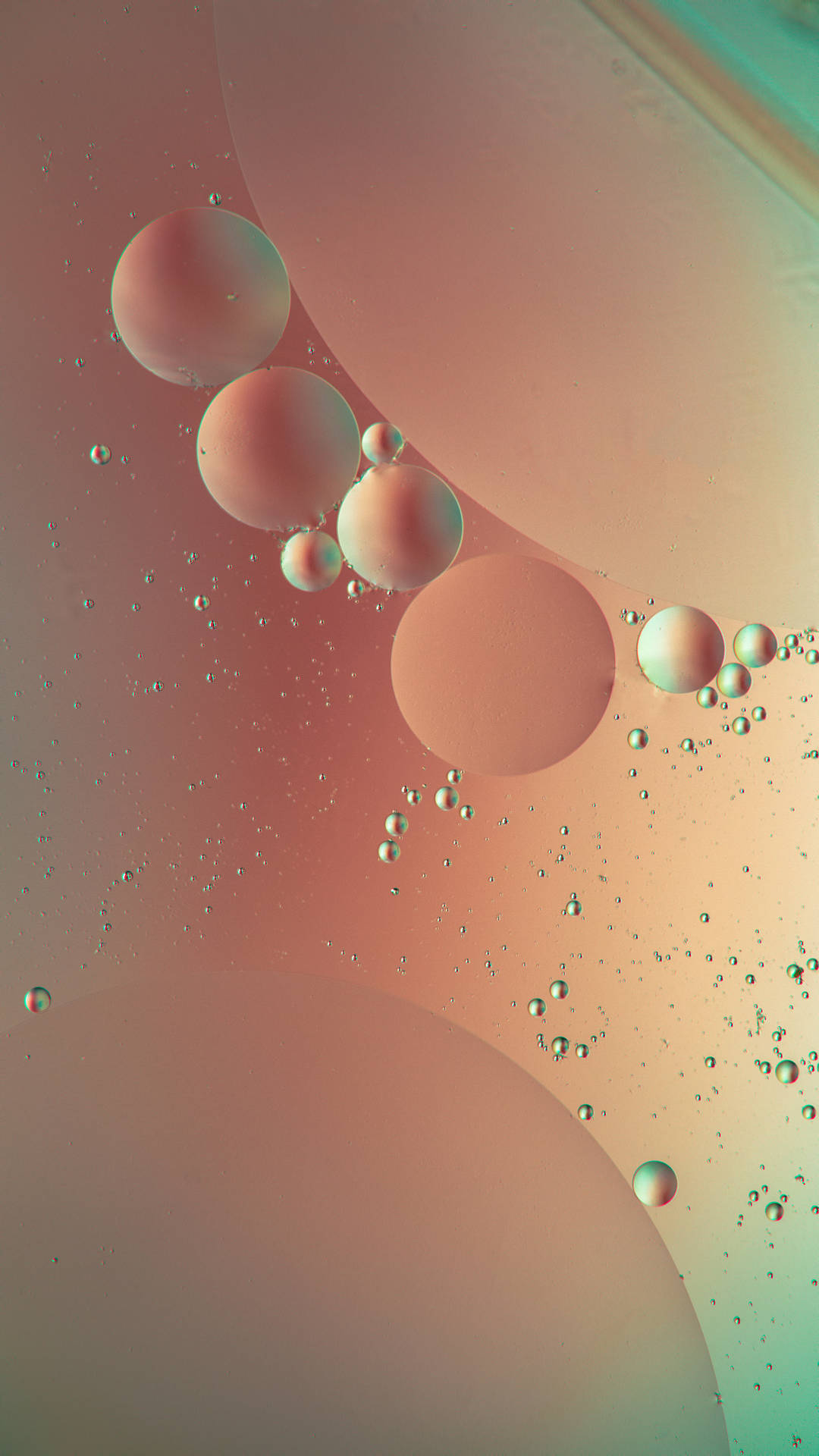 Iphone 12 Pro Max Pink Vibrant Bubbles Background