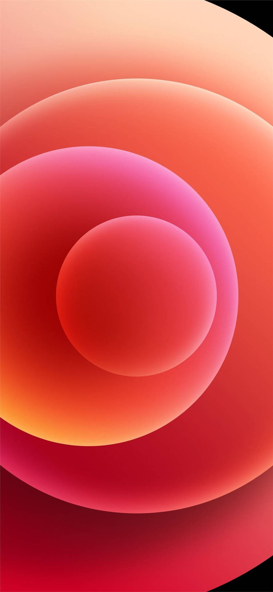 Iphone 12 Stock Peach Color Circles Background