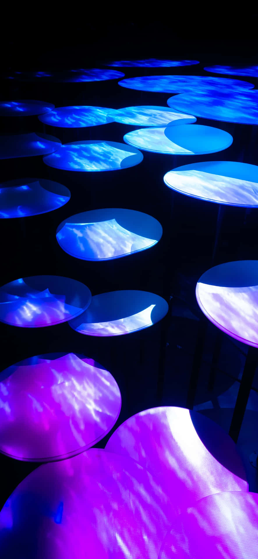 Colores De Pantalla Del Iphone 15 Pro Max Fondo de pantalla