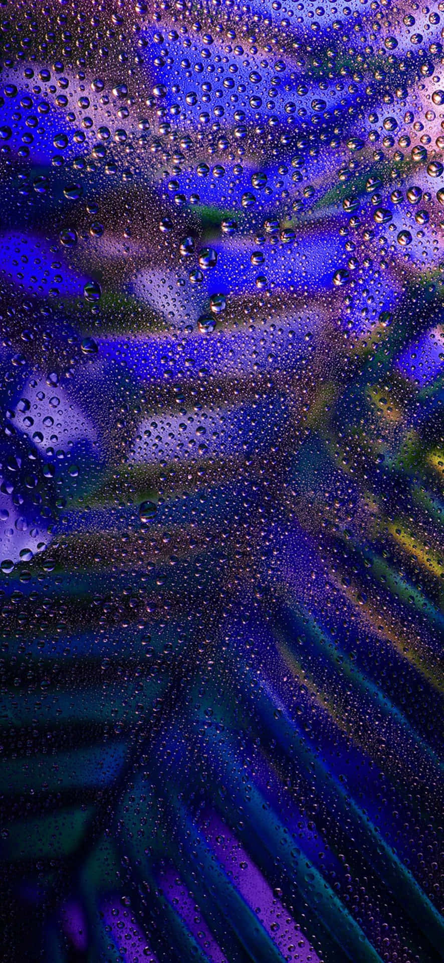 Iphone 15 Pro Max Wallpaper Wallpaper