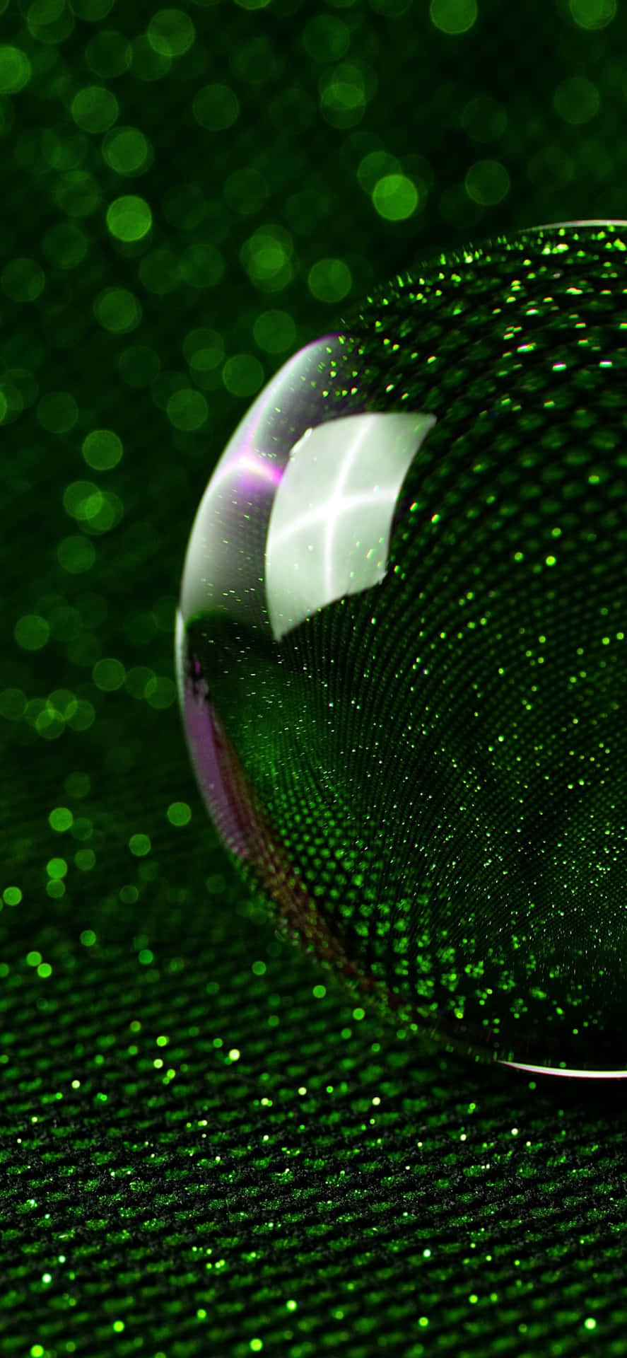 Lente De Cámara Del Iphone 16e Fondo de pantalla