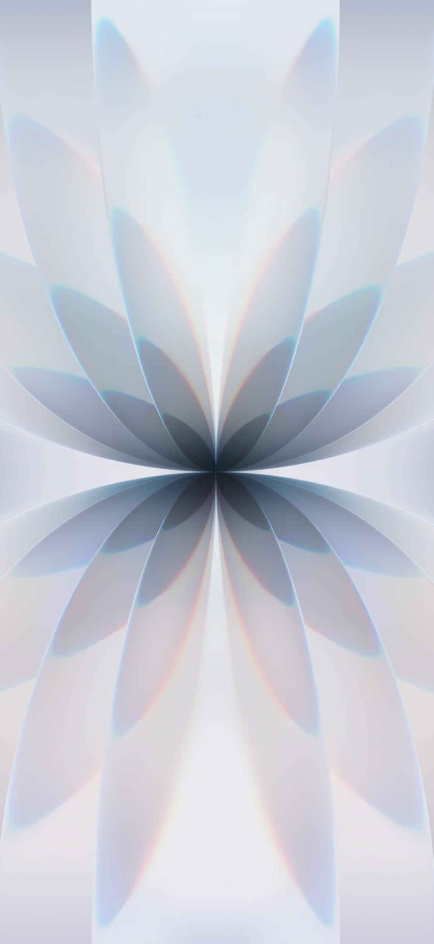 Iphone 17 1206 X 2622 Wallpaper Wallpaper