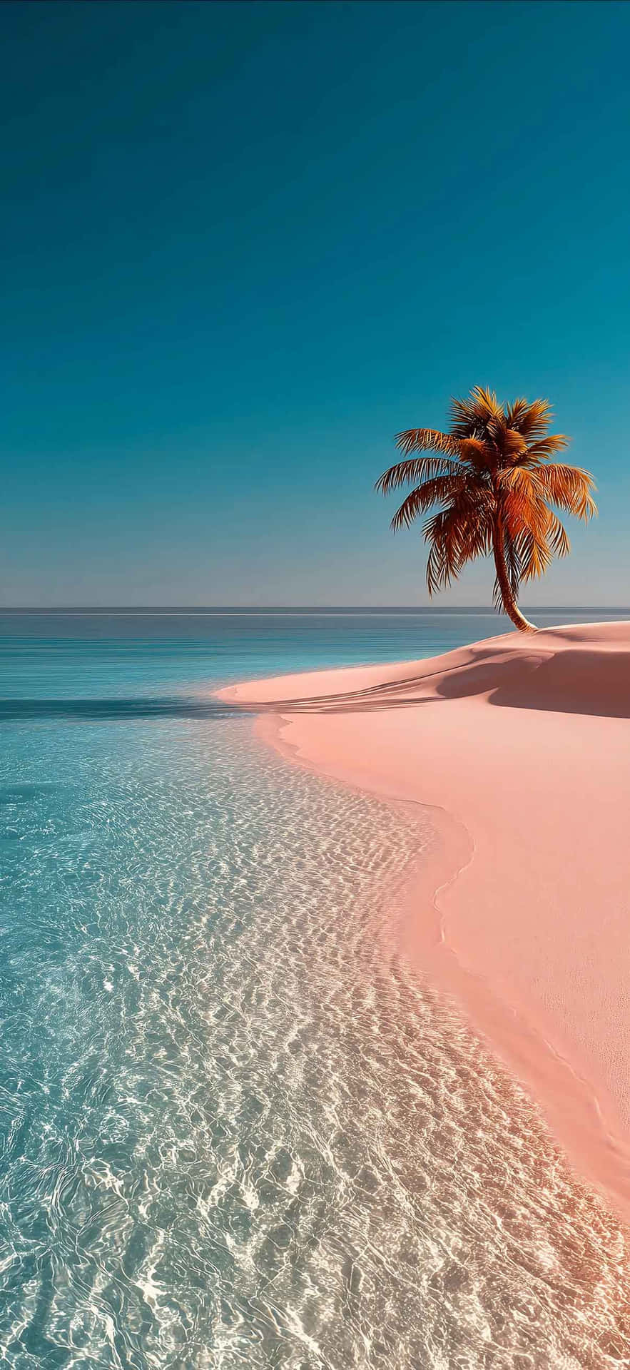 Iphone 17 1206 X 2622 Wallpaper Wallpaper