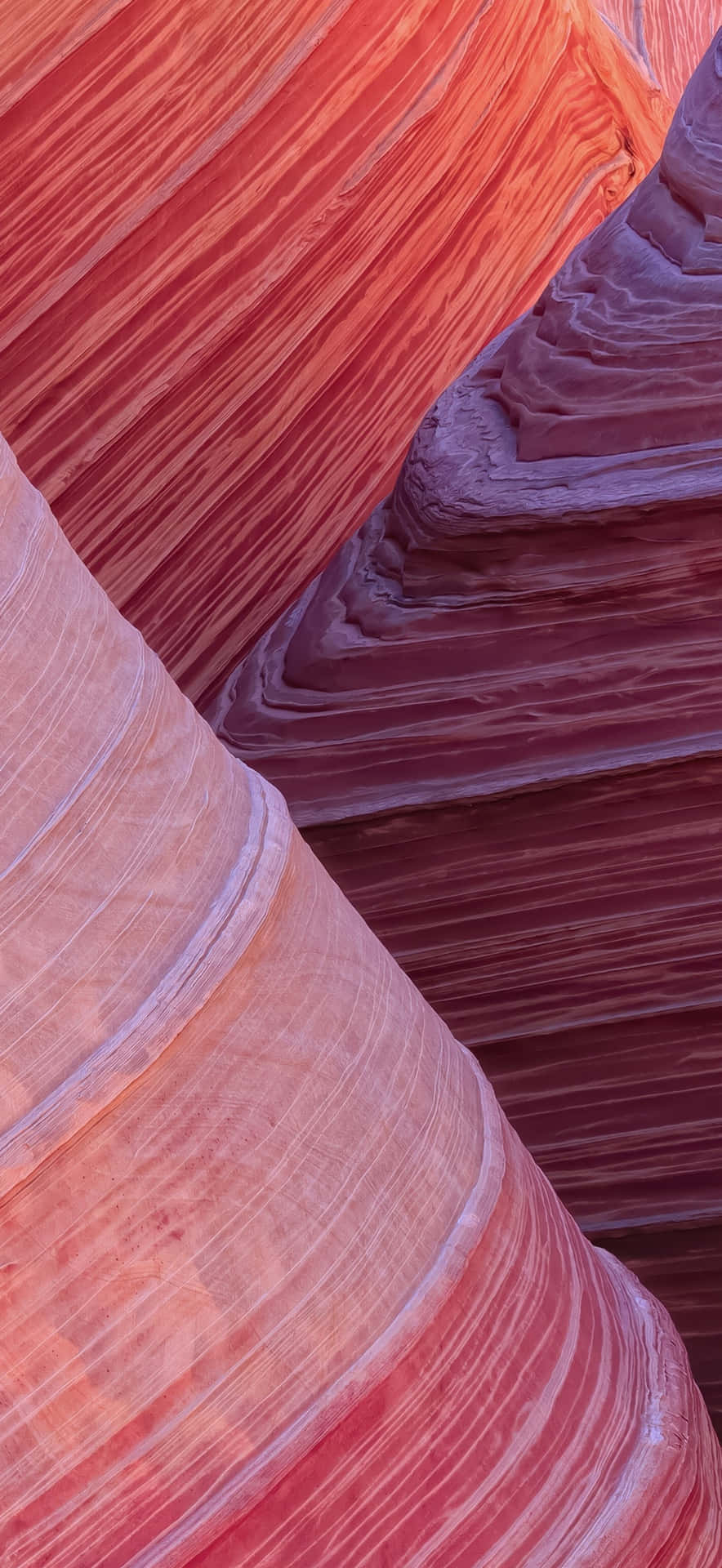 Iphone 17 Pro Max Camera Quality Wallpaper