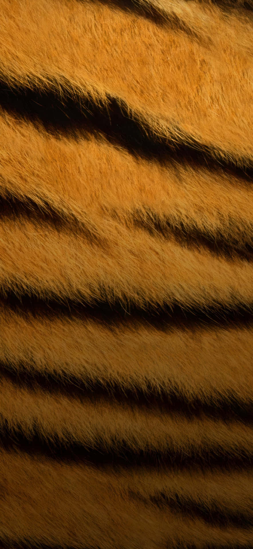 Pantalla Del Iphone 17 Pro Max Fondo de pantalla