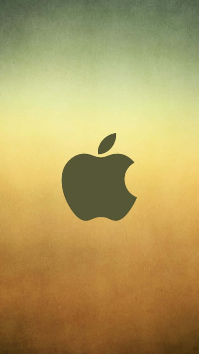 HD wallpaper: person holding black broken iPhone 5, apple, display, damage  | Wallpaper Flare