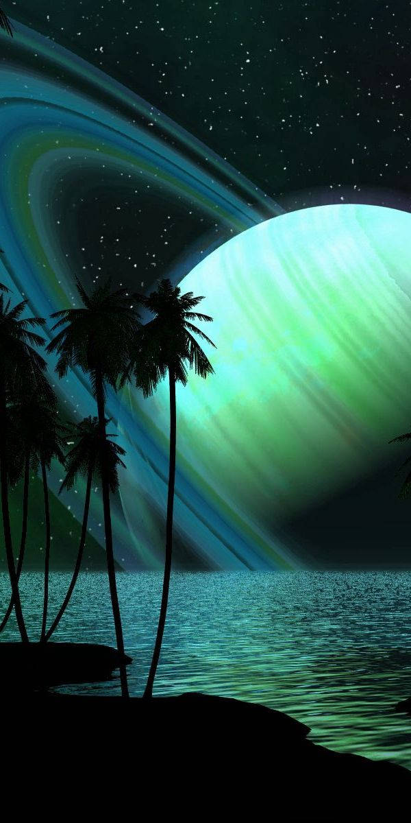 Iphone 7 Plus Space And Palm Trees Wallpaper