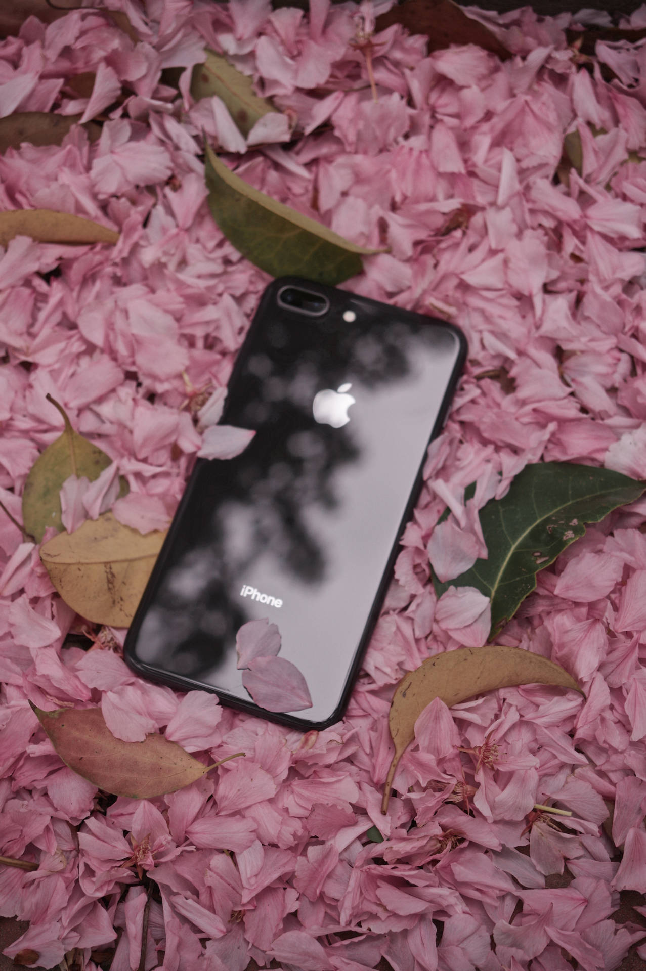 Iphone8 Blommor Wallpaper