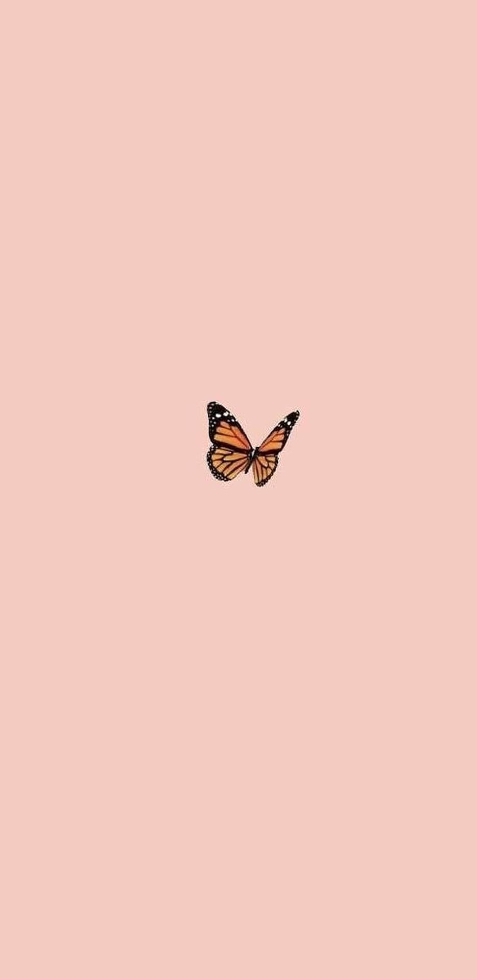 Iphone Aesthetic Butterfly Wallpaper