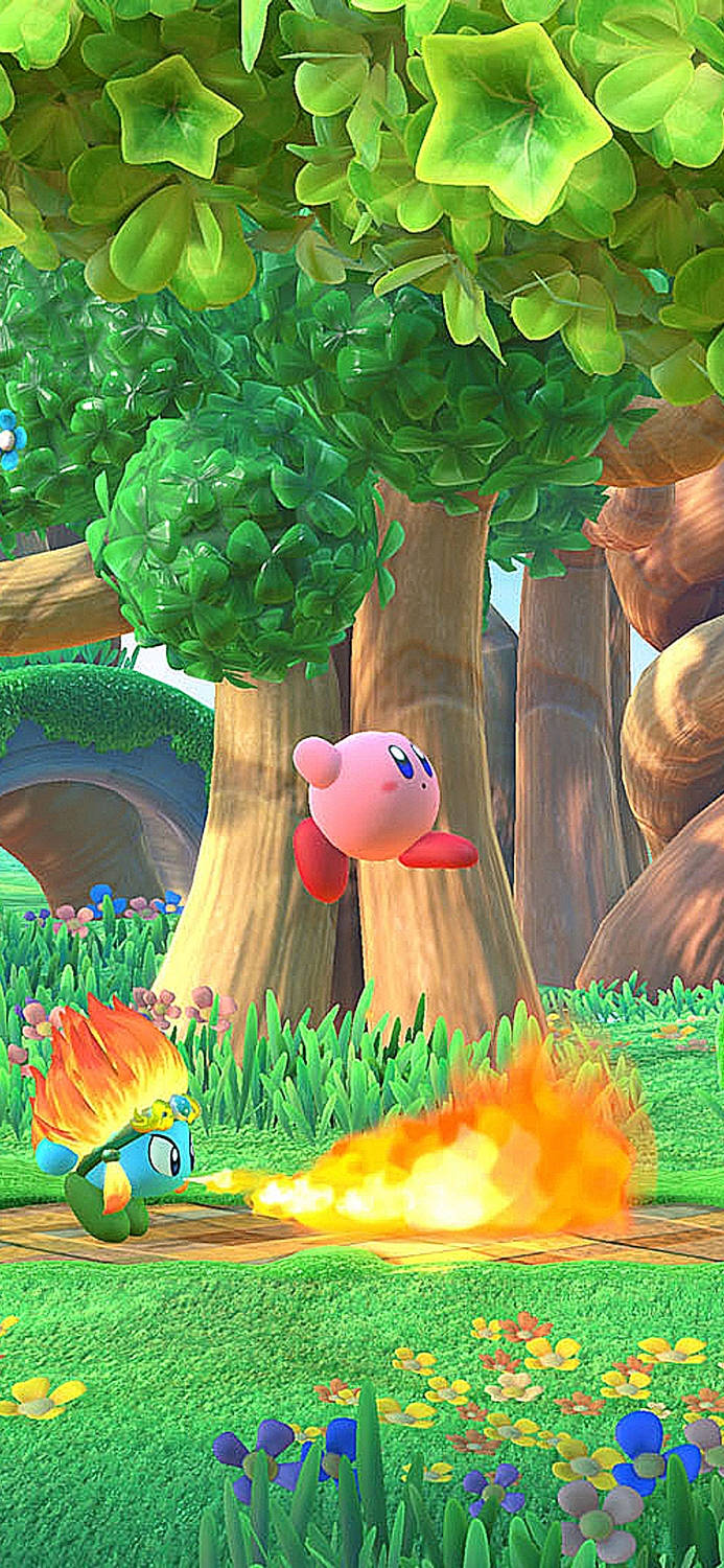 Kirbyskärmdump Från Kirby's Dream World Wallpaper