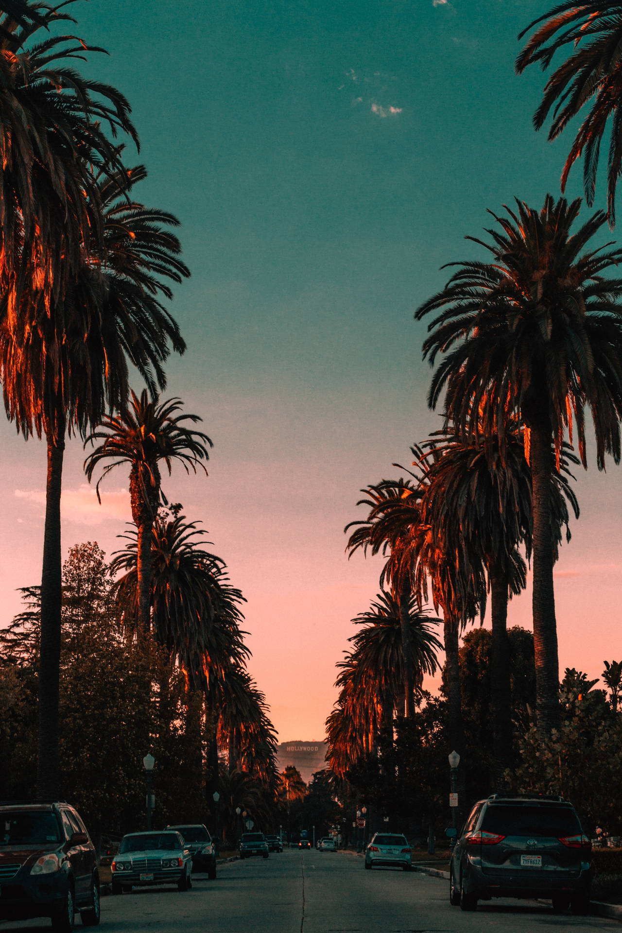 Los Angeles Iphone California Trees And Sky At Sunset Wallpaper