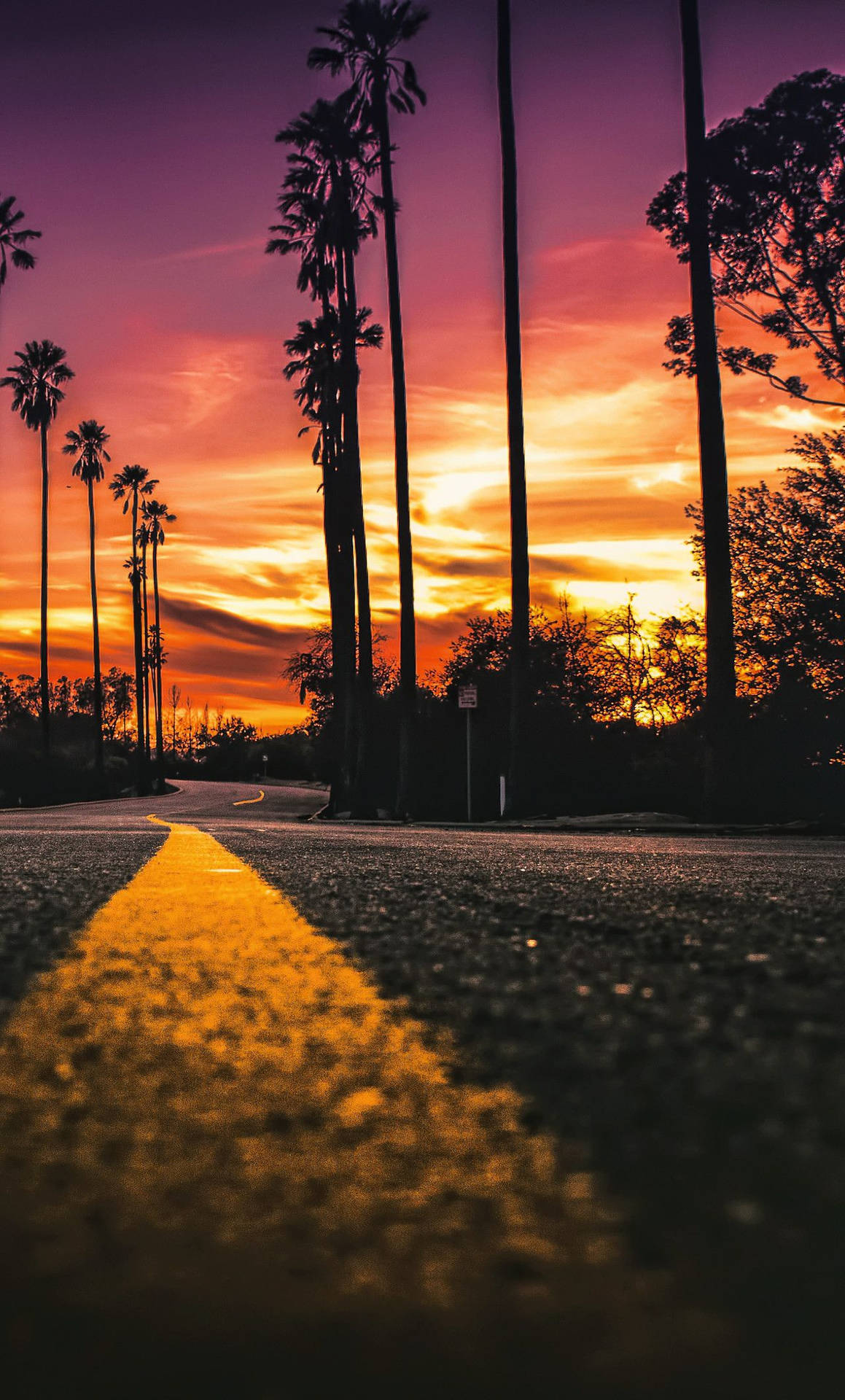 Iphone California Sunset Palm Trees Wallpaper