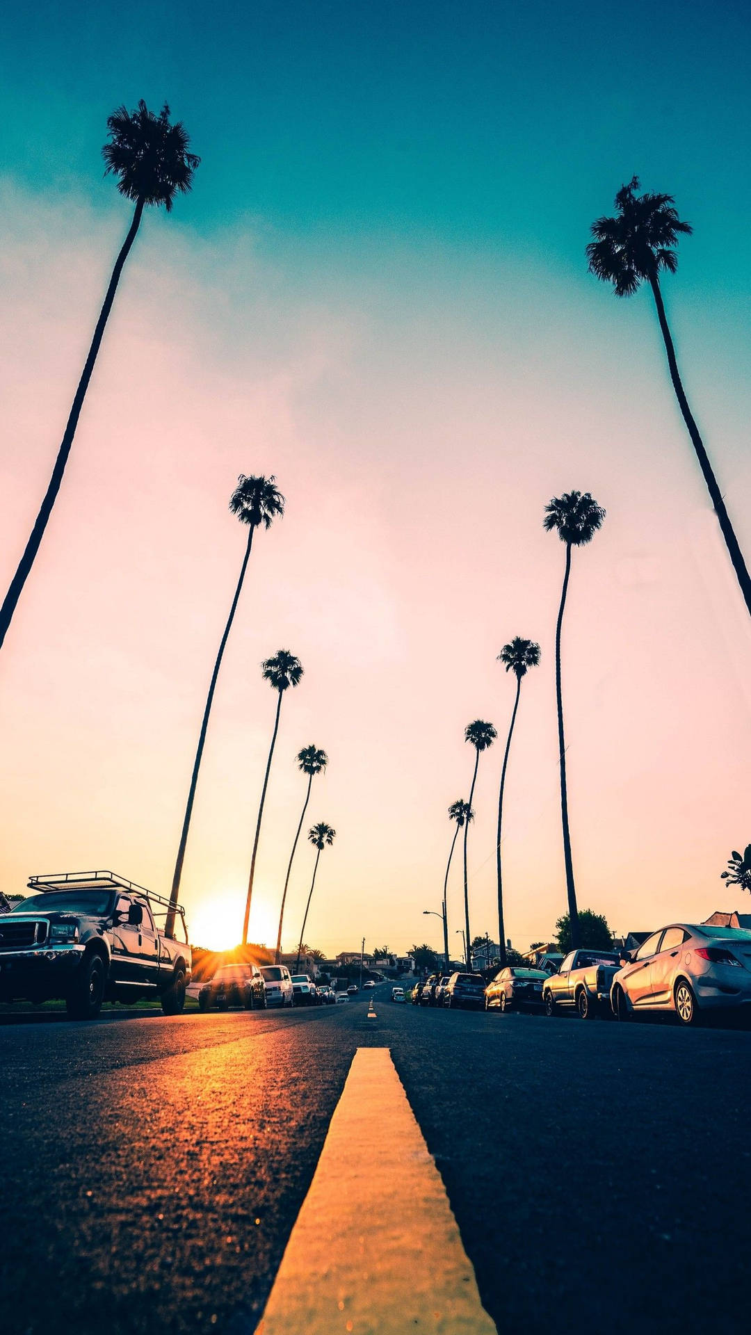 Iphone California Cars And Palm Trees Wallpaper