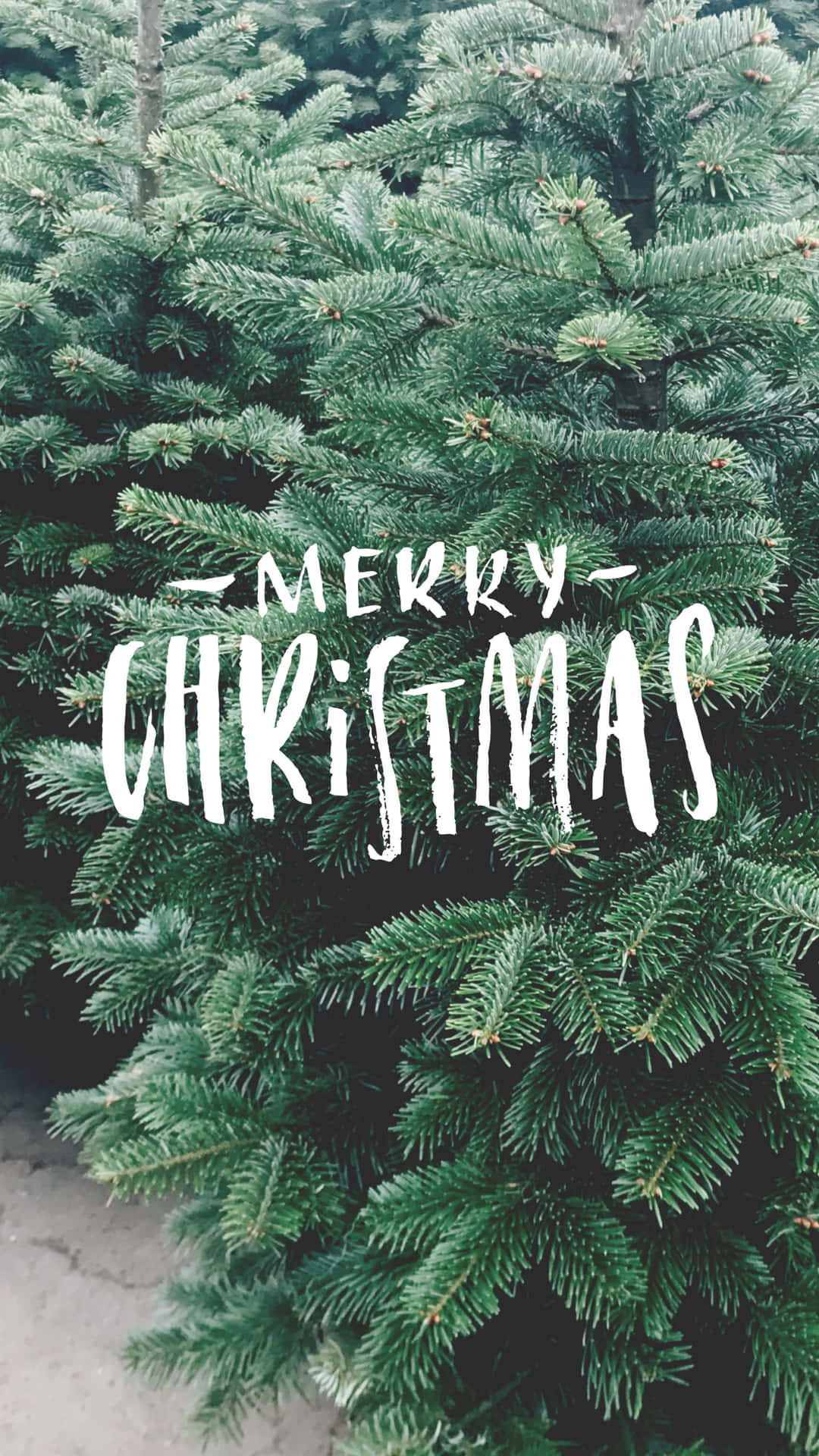 Iphone Christmas Aesthetic Tree Greeting Wallpaper
