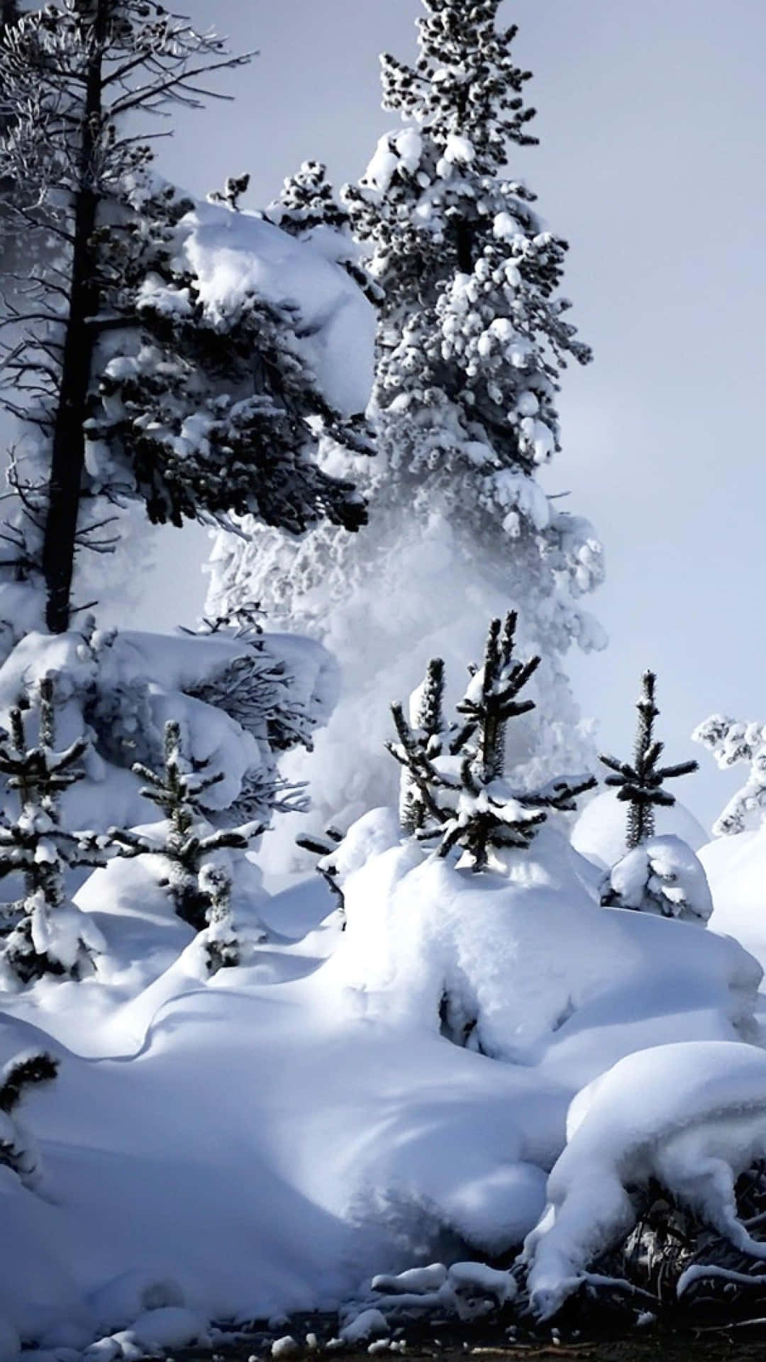 Godersiil Paesaggio Invernale Della Neve Natalizia Sfondo