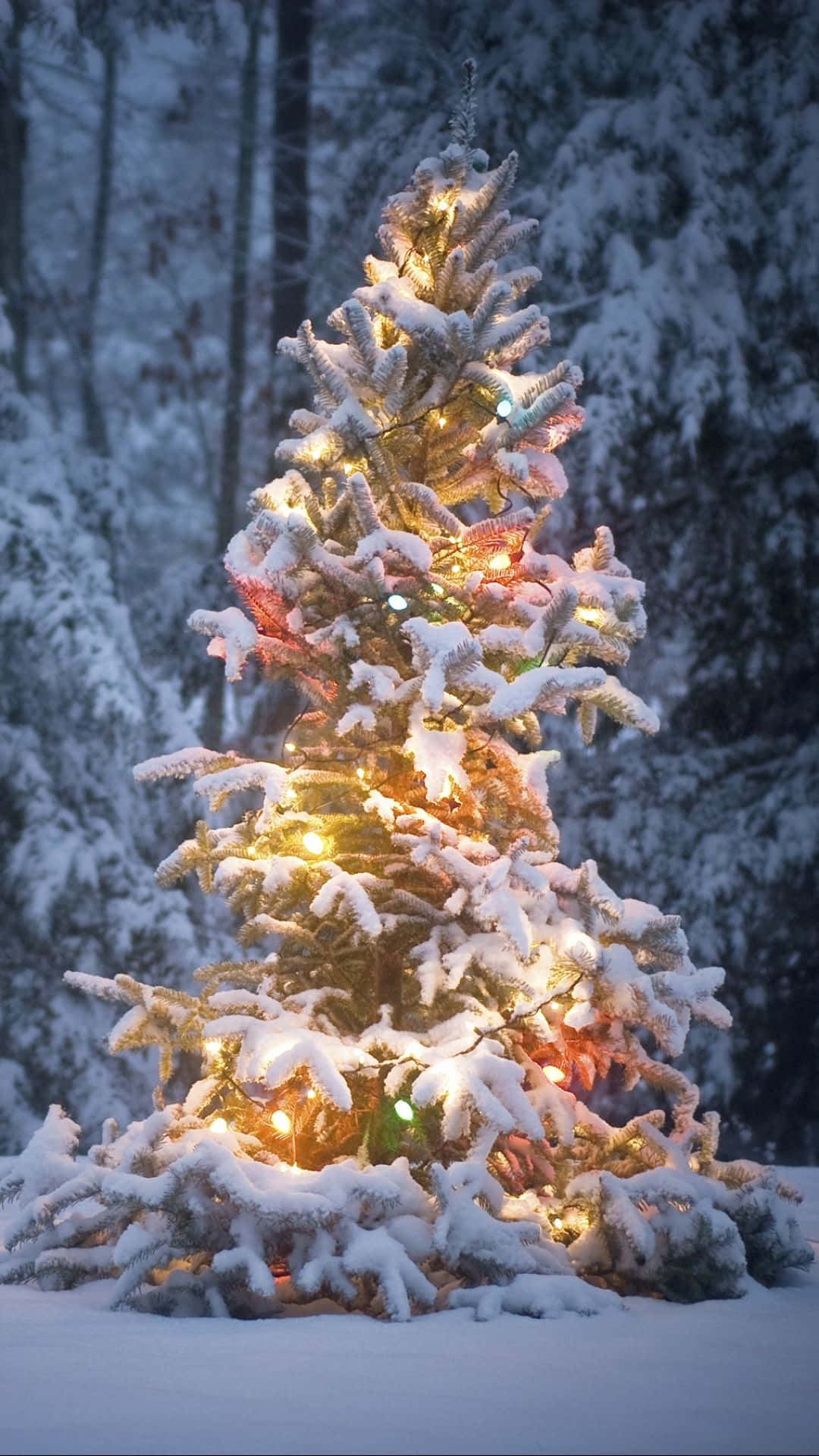 Ästhetischerweihnachtsbaum Schnee Für Das Iphone Wallpaper
