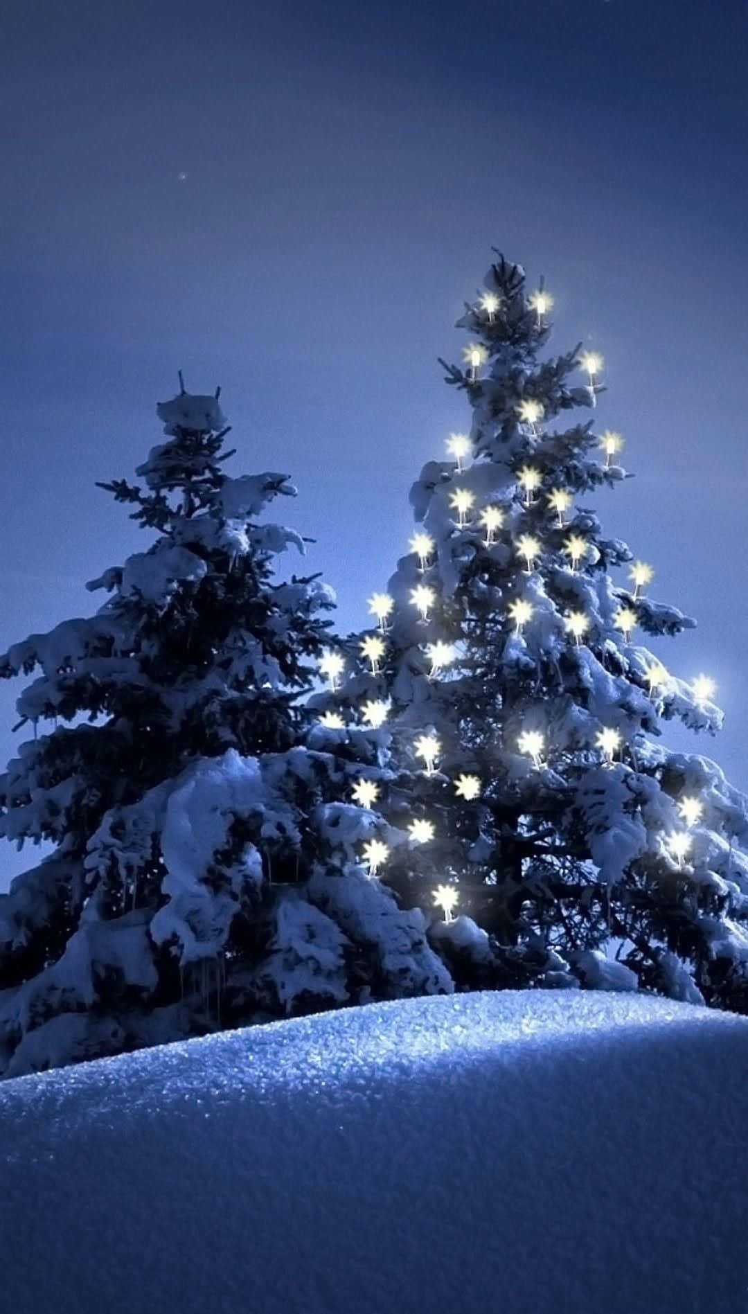 A winter wonderland with snow-covered trees and lights. Wallpaper