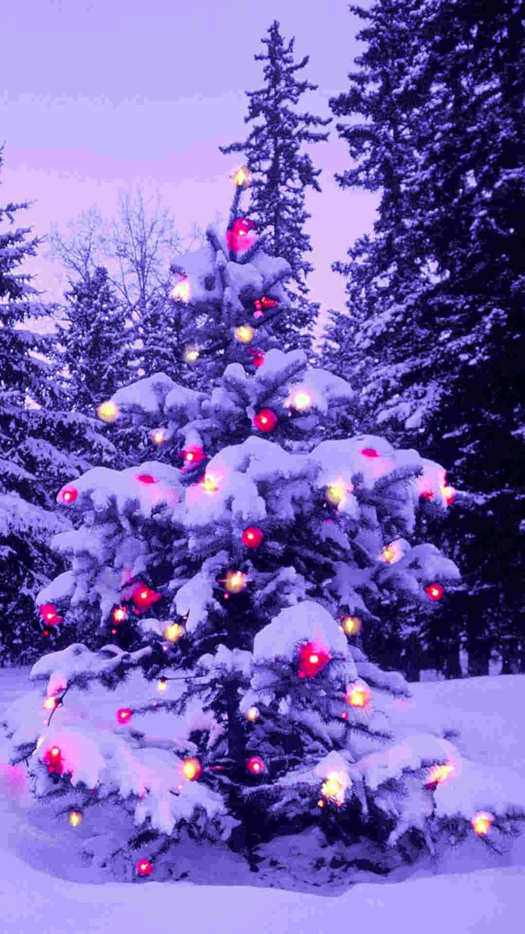 Purple iPhone Christmas Snow Wallpaper