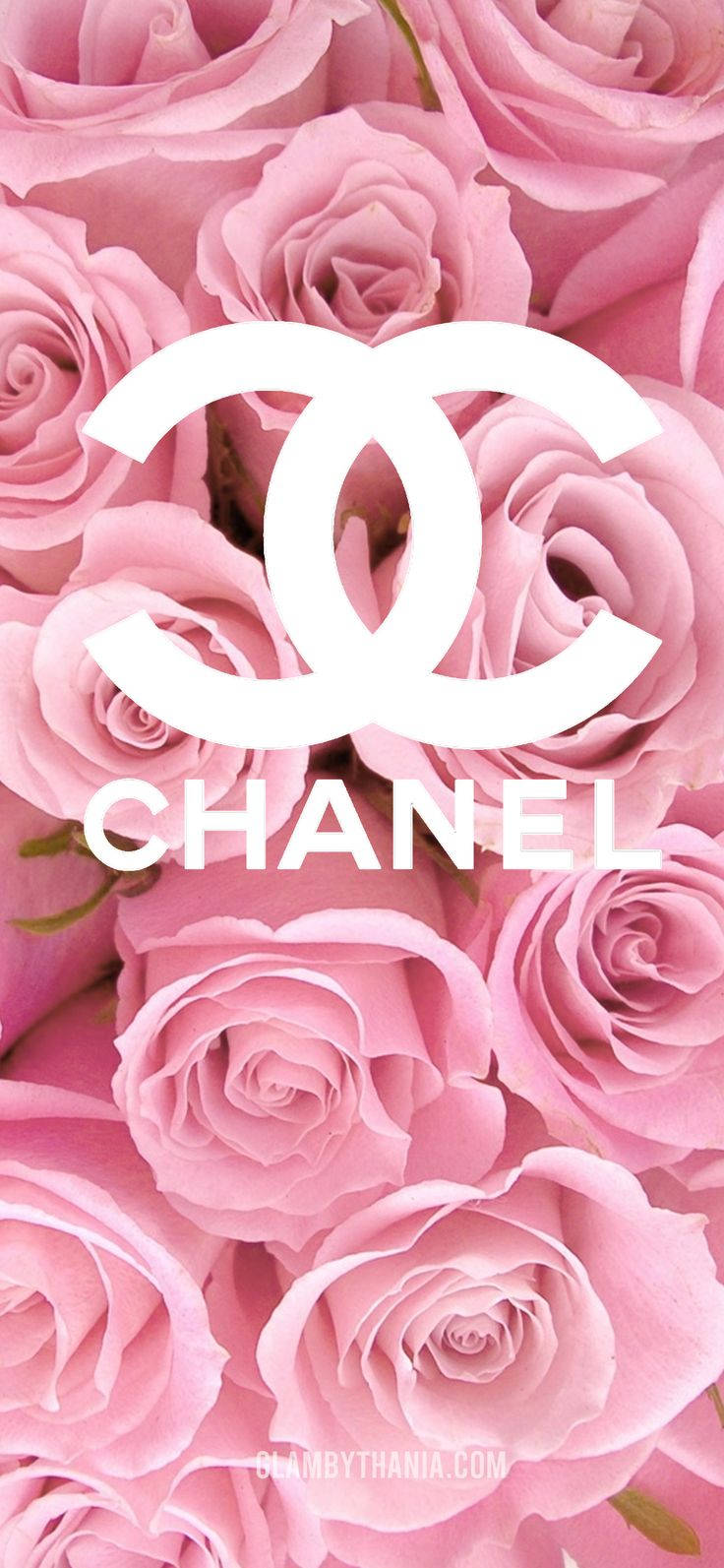 Iphone Feminino Chanel Roses Papel de Parede