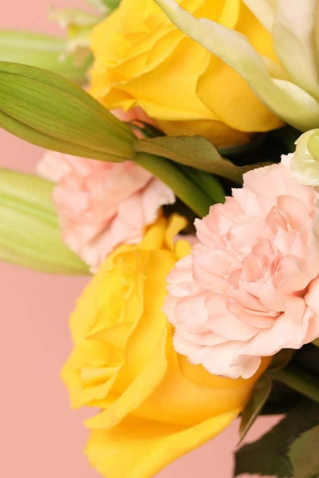 A Bouquet Of Yellow And Pink Flowers On A Pink Background