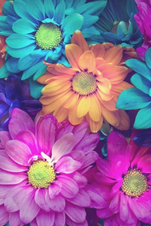 A delightful array of flowers against a bright blue background