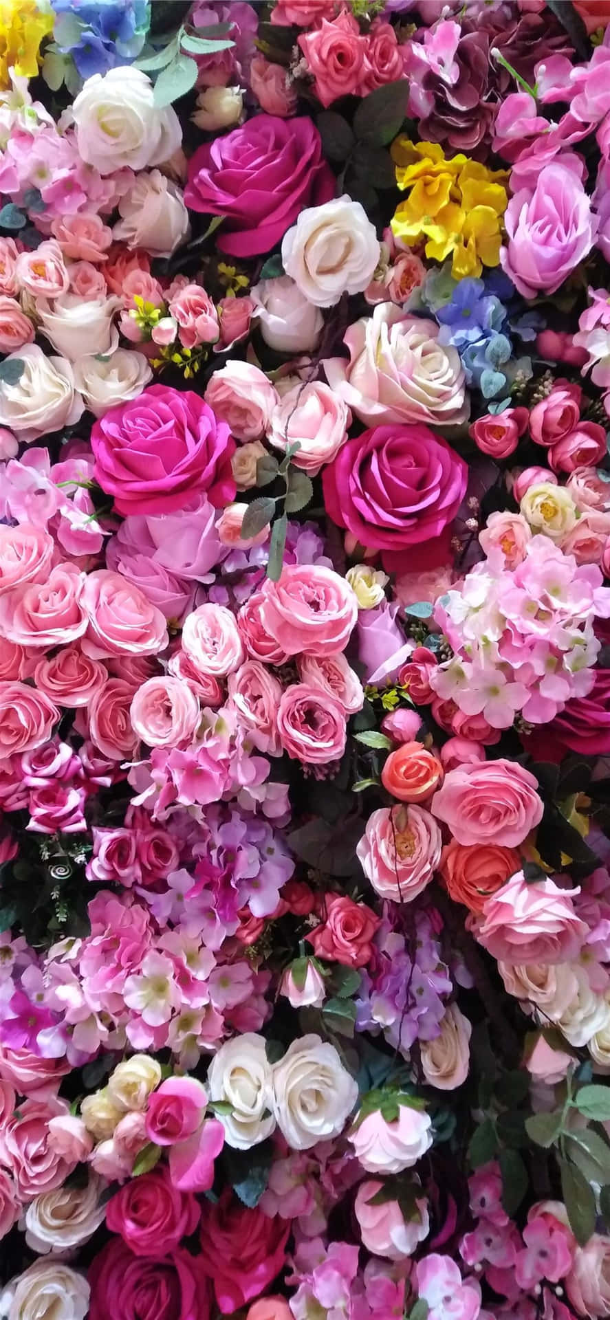 Helle,bunte Blumen Auf Dem Iphone-bildschirm Wallpaper