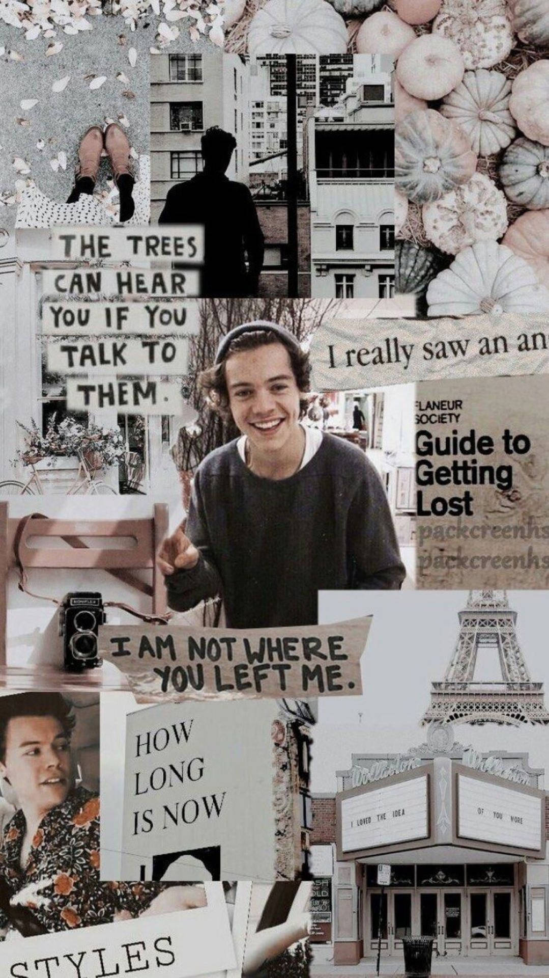 Iphone Harry Styles With Song Lines Wallpaper