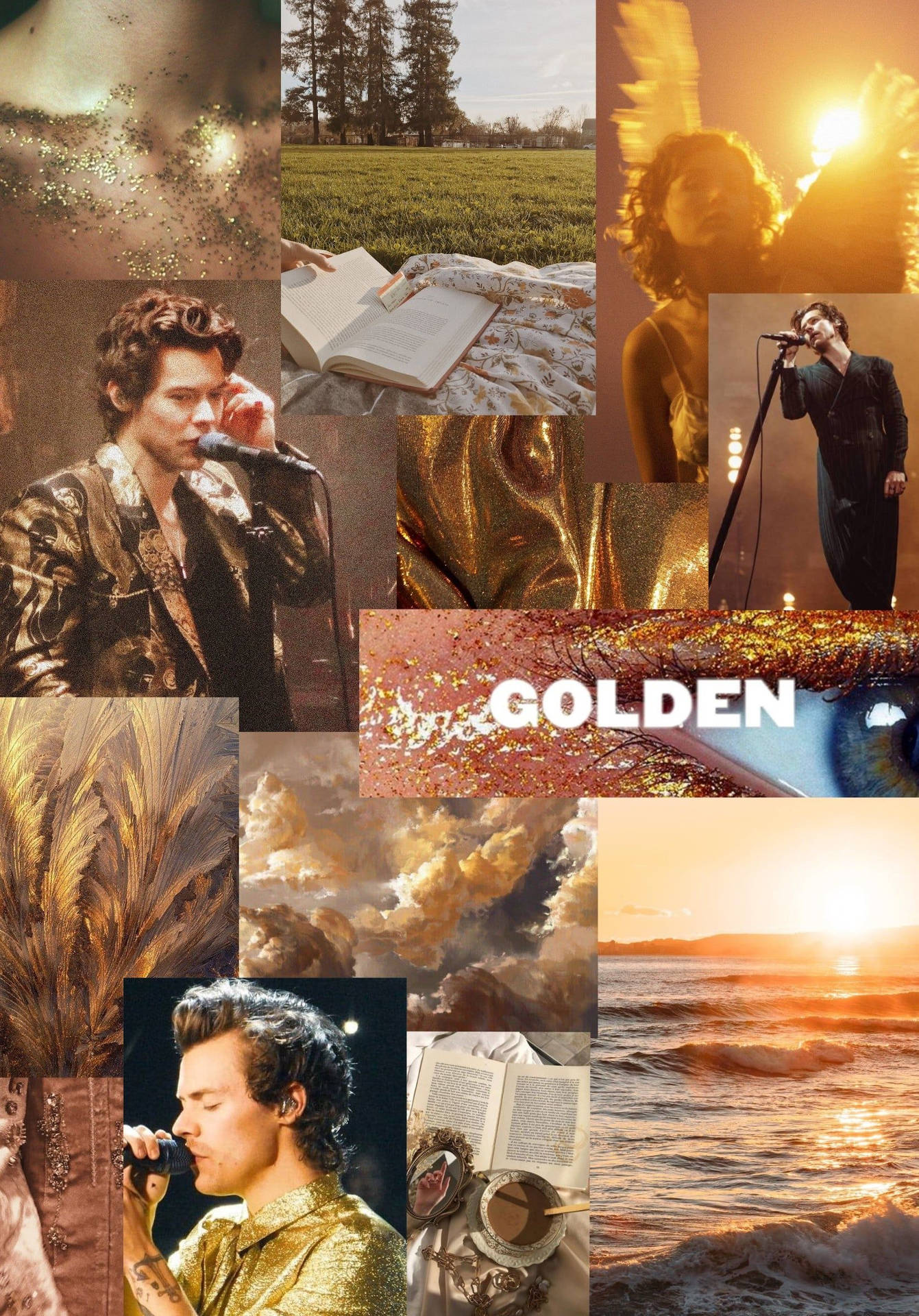 Golden - Harry Potter - Harry Potter - Golden - Harry Potter - Golden - Golden Wallpaper