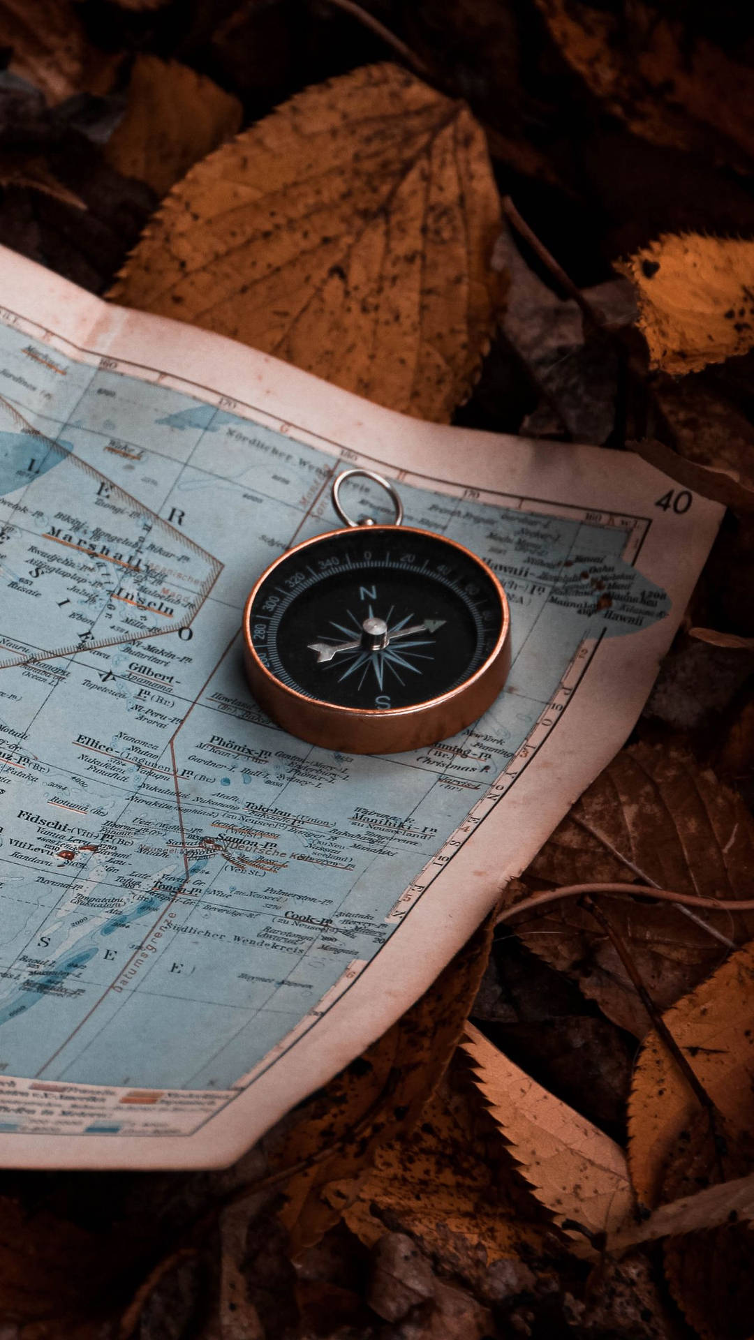 A Compass On A Map With Leaves Wallpaper