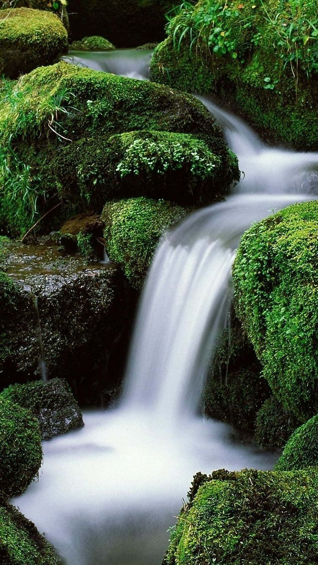 Картинки на телефон на заставку красивые живые. Красивые водопады. Живая природа. Супер природа. Живая природа водопады.