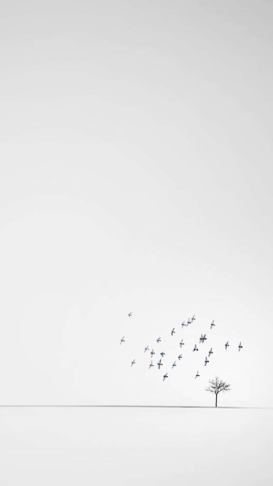 iPhone Hvide Fugle Med Træblade Baggrund Wallpaper