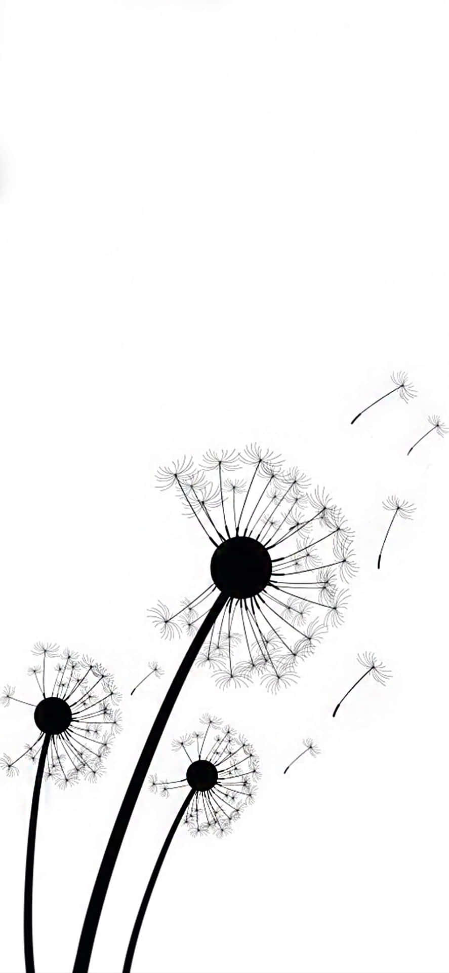 iPhone White Dandelions Wallpaper